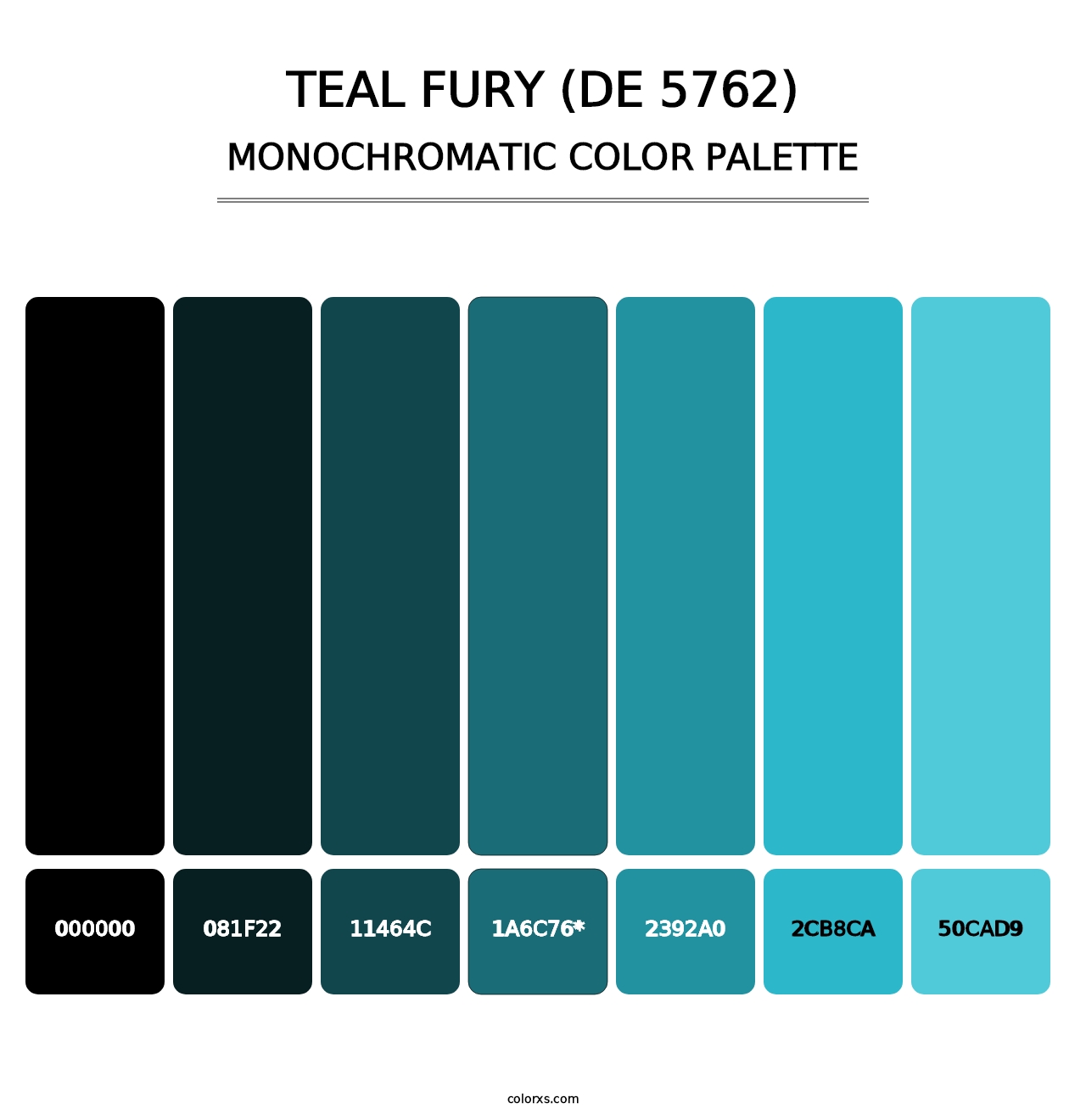 Teal Fury (DE 5762) - Monochromatic Color Palette