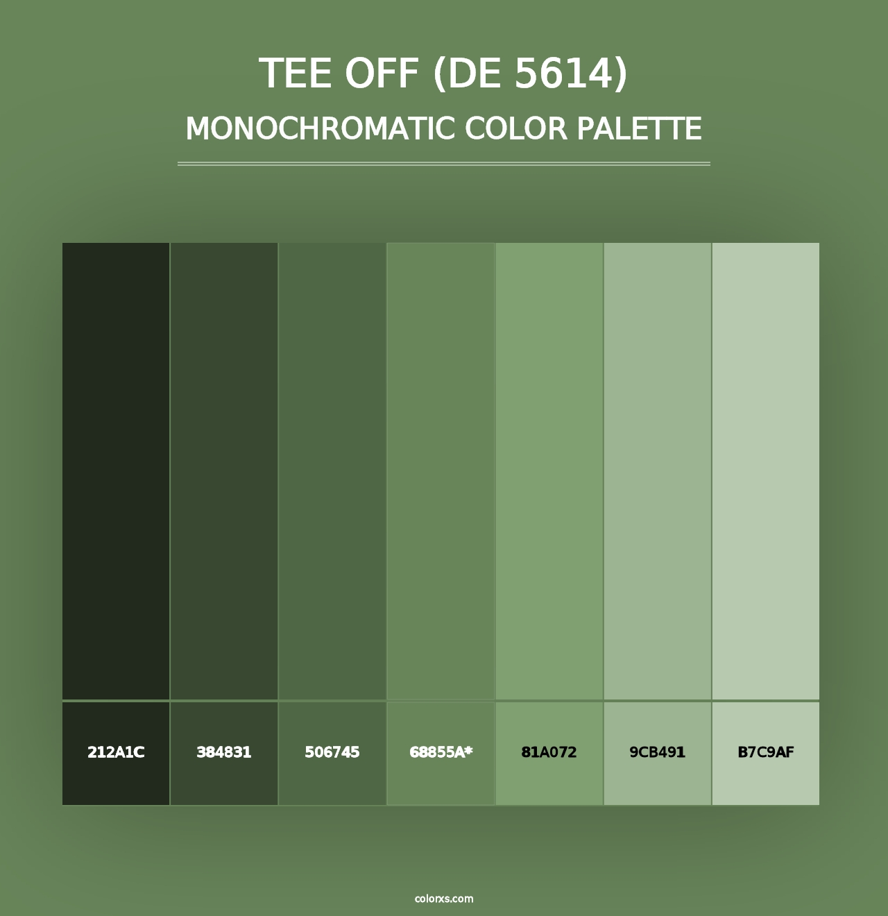 Tee Off (DE 5614) - Monochromatic Color Palette