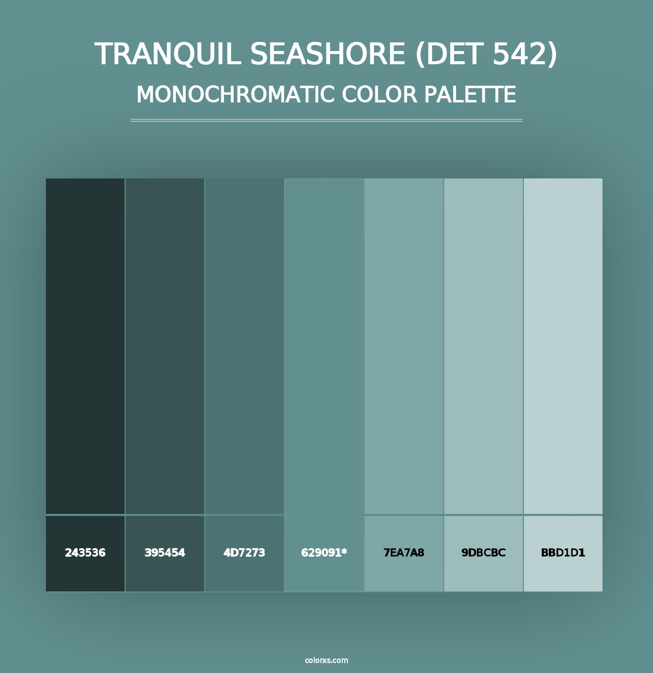 Tranquil Seashore (DET 542) - Monochromatic Color Palette