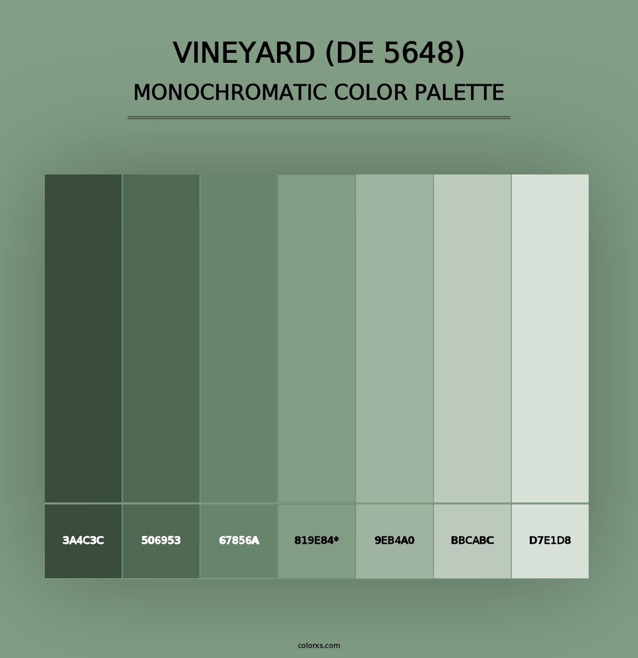 Vineyard (DE 5648) - Monochromatic Color Palette