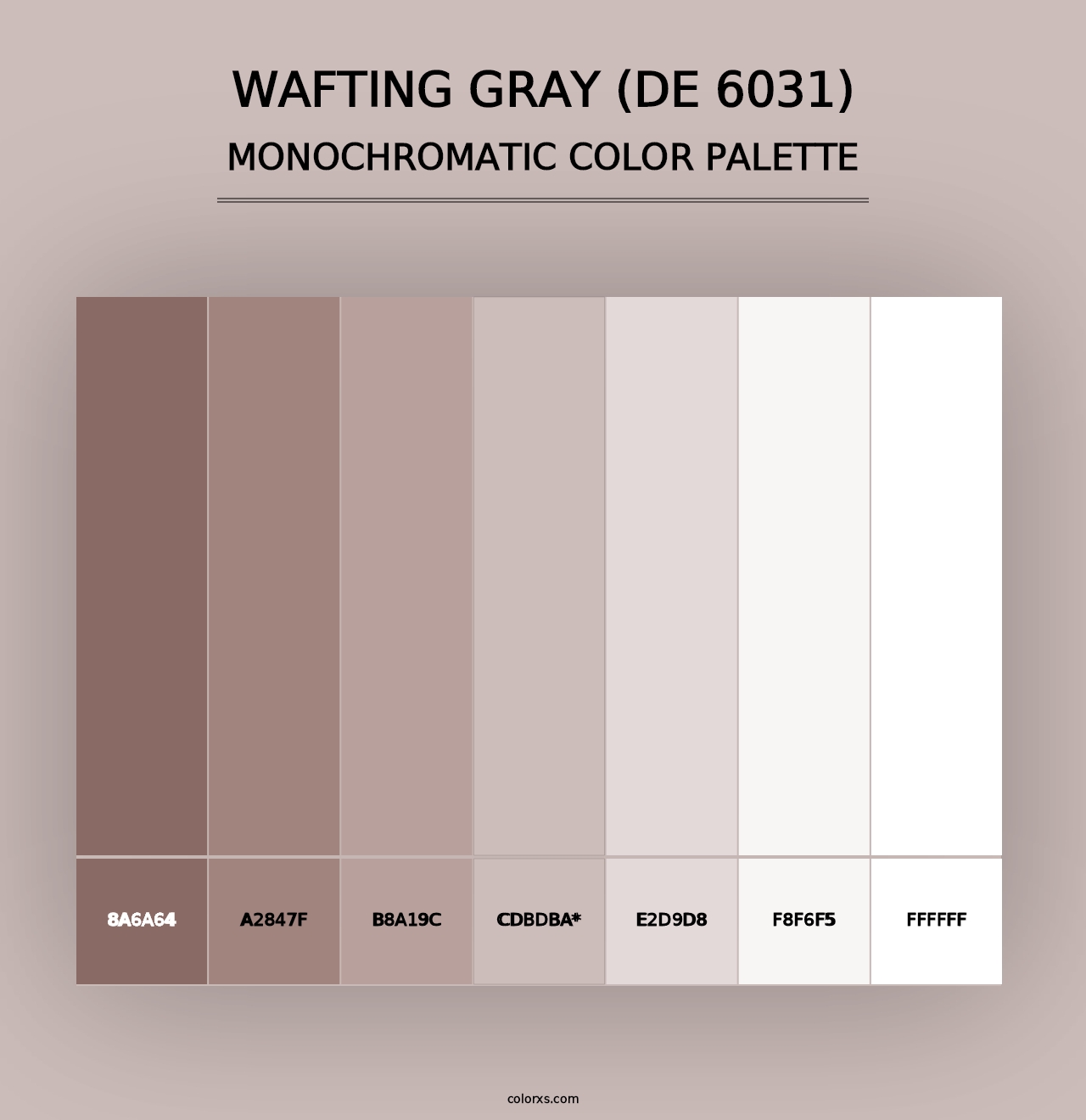 Wafting Gray (DE 6031) - Monochromatic Color Palette