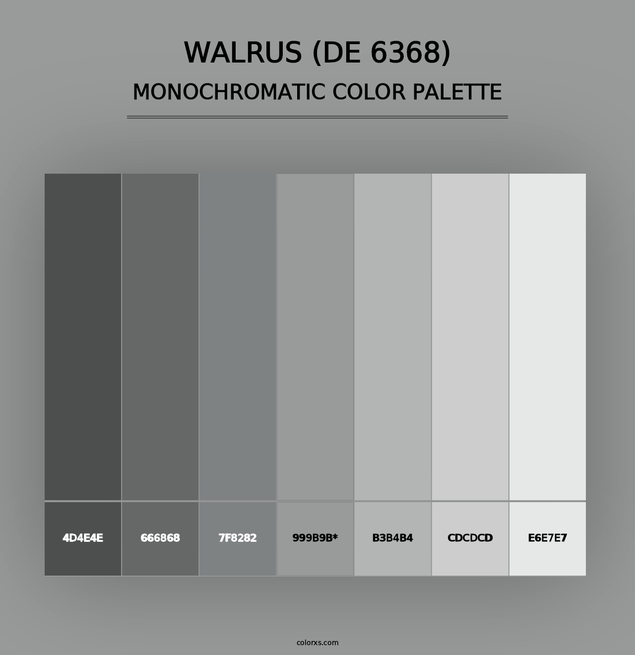 Walrus (DE 6368) - Monochromatic Color Palette