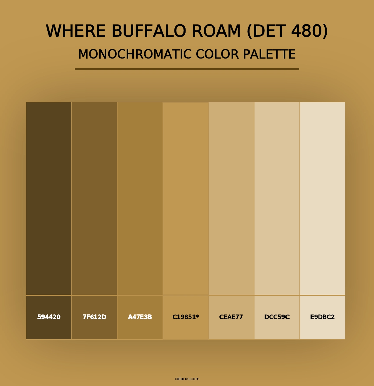 Where Buffalo Roam (DET 480) - Monochromatic Color Palette