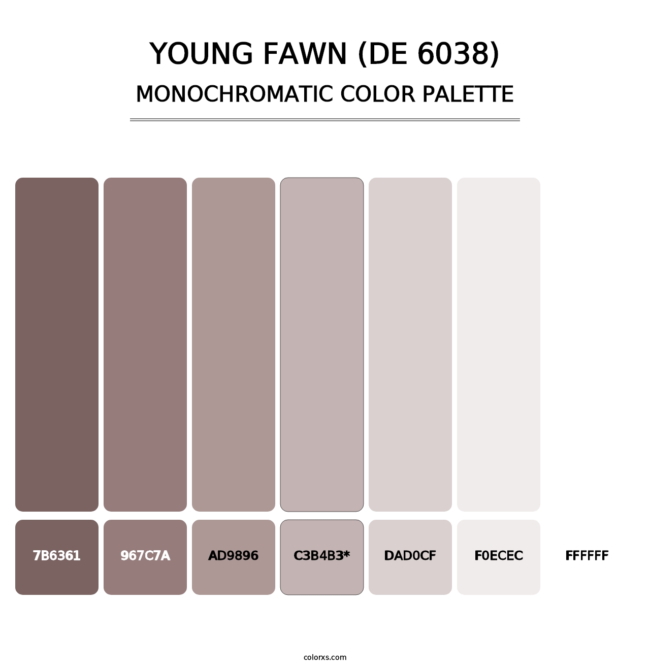 Young Fawn (DE 6038) - Monochromatic Color Palette