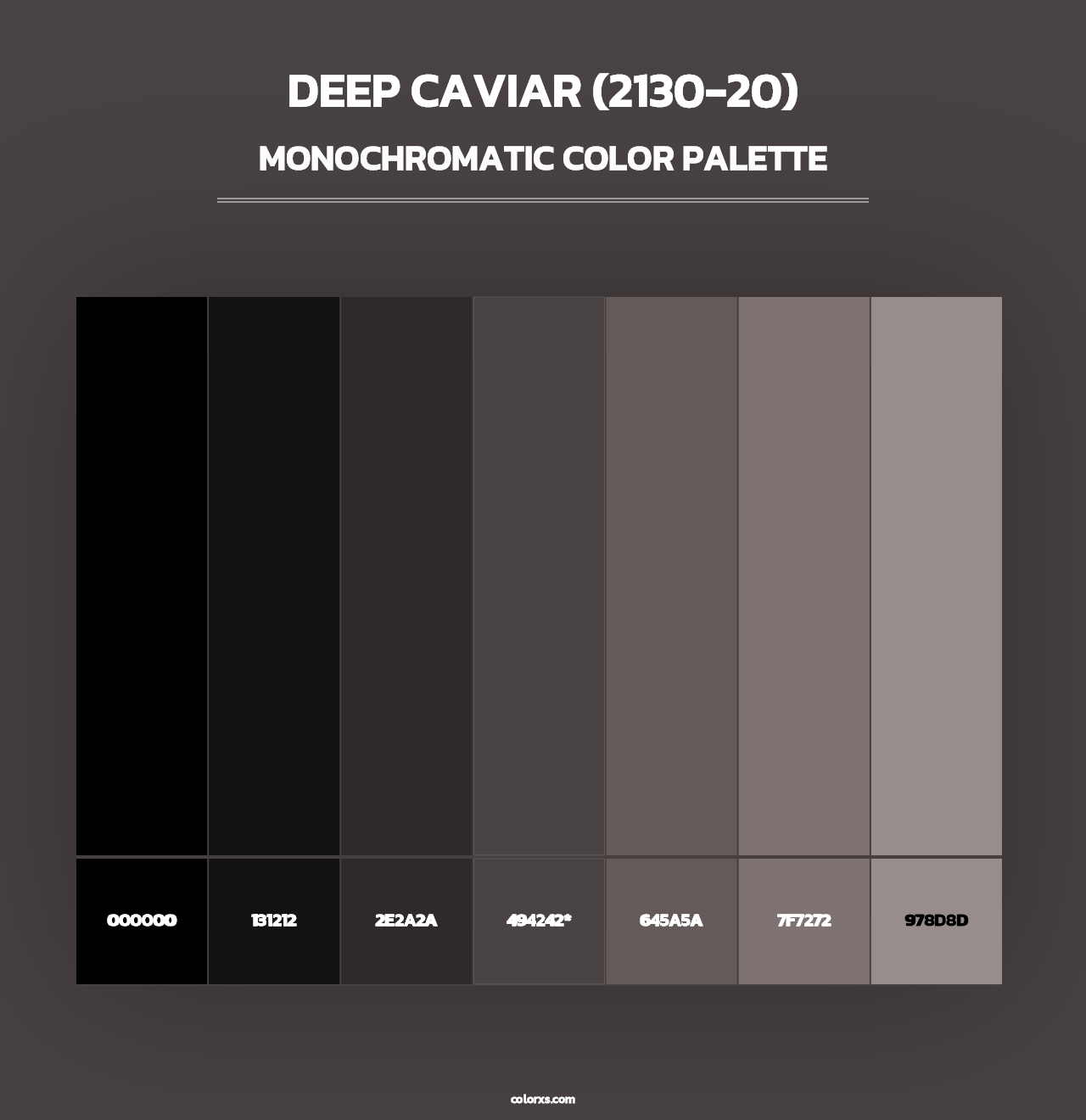 Deep Caviar (2130-20) - Monochromatic Color Palette