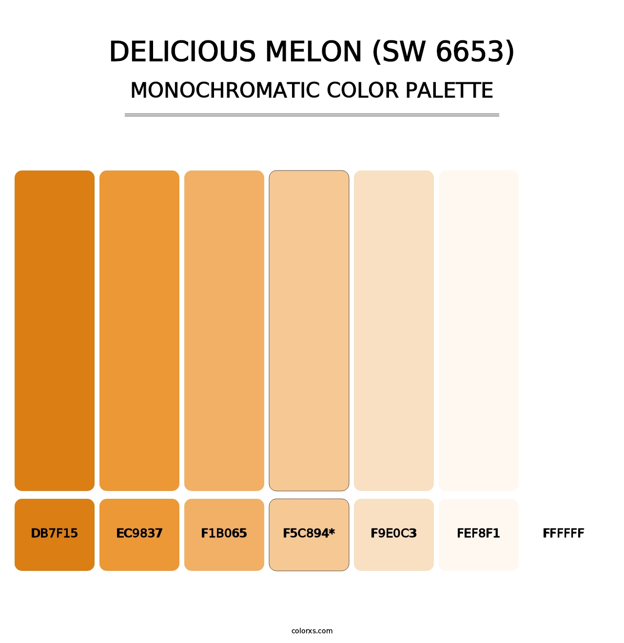 Delicious Melon (SW 6653) - Monochromatic Color Palette