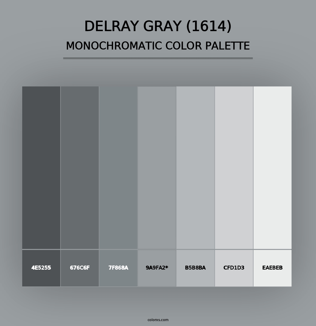 Delray Gray (1614) - Monochromatic Color Palette