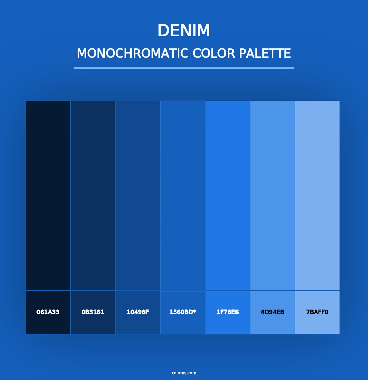 Denim - Monochromatic Color Palette