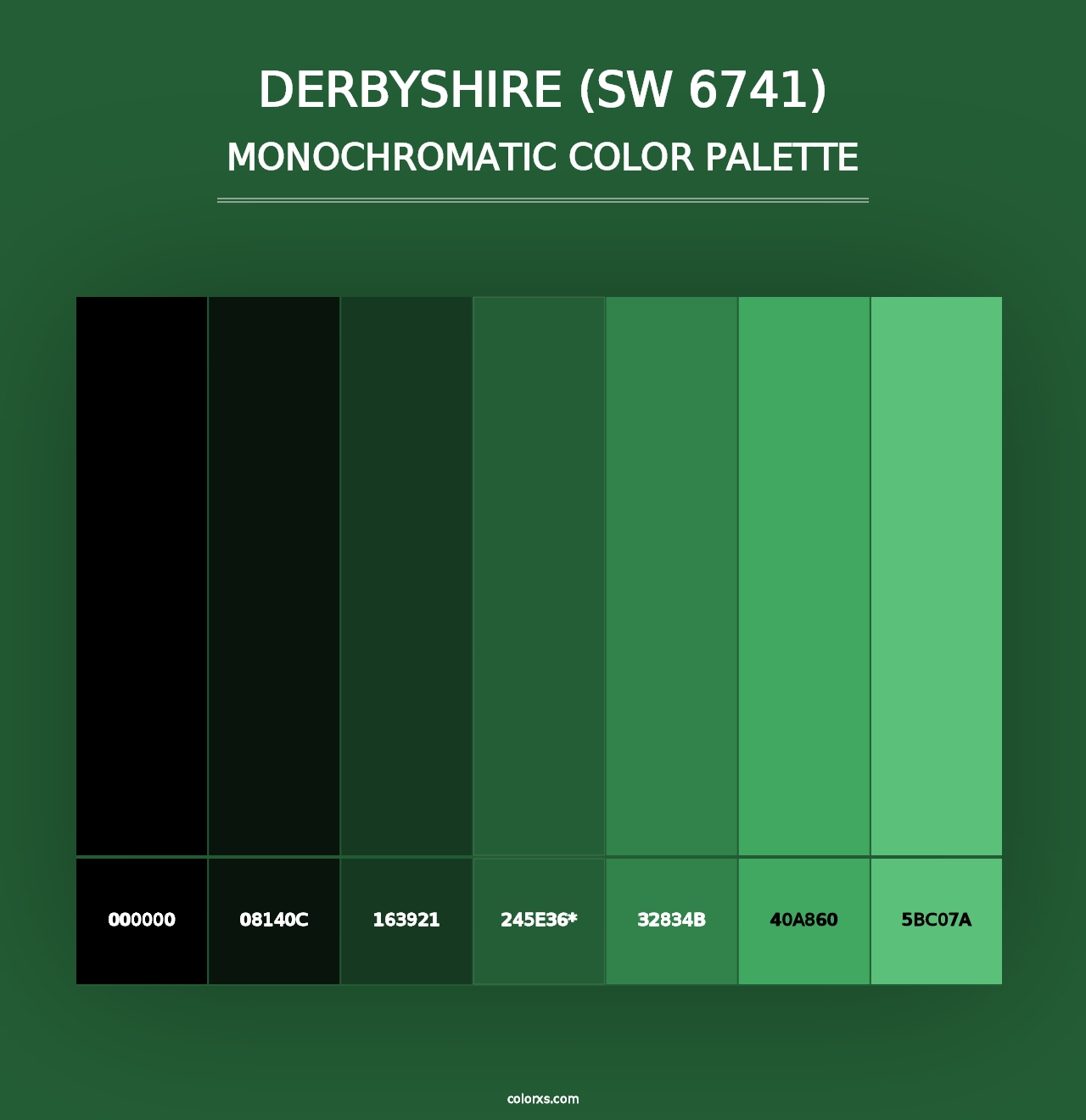 Derbyshire (SW 6741) - Monochromatic Color Palette