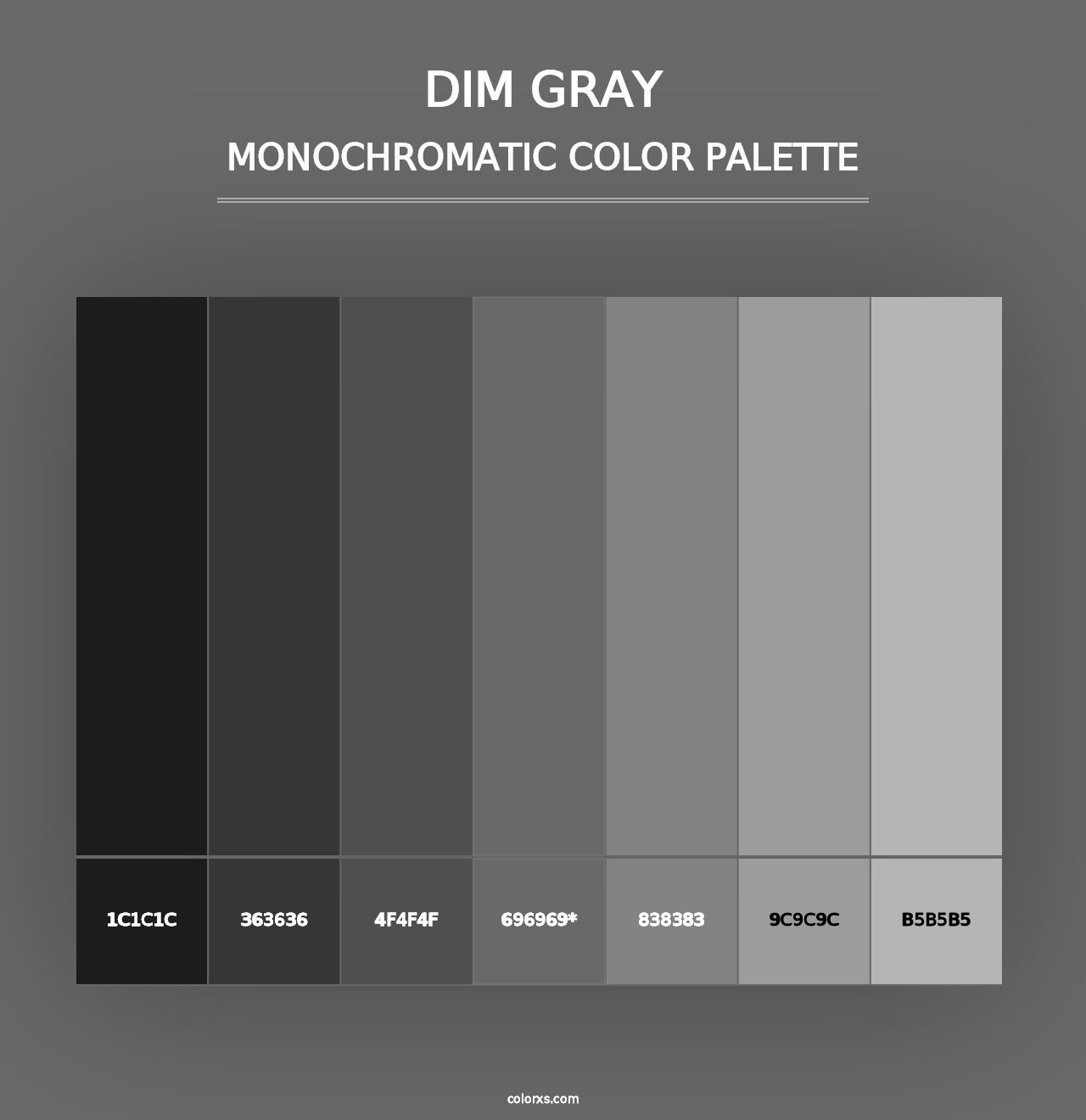 Dim Gray - Monochromatic Color Palette