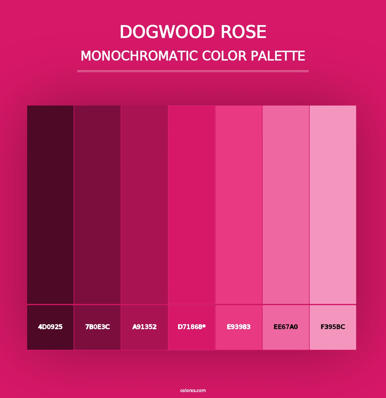 Dogwood Rose - Monochromatic Color Palette