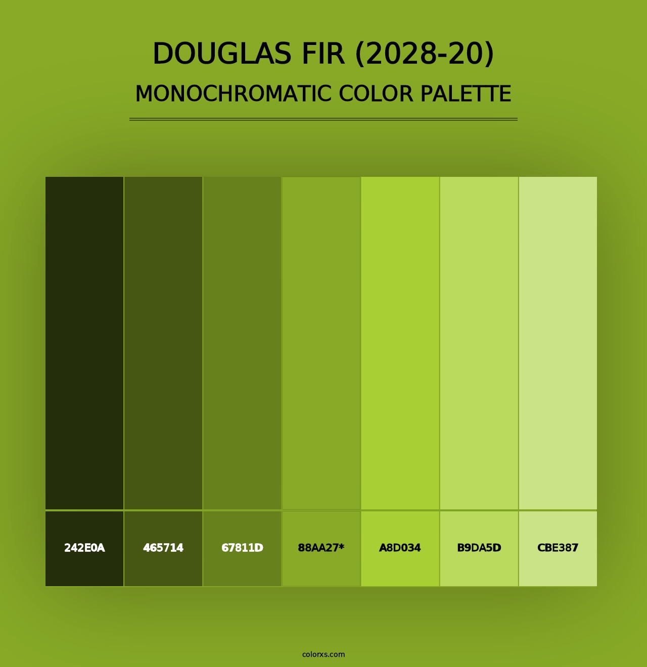 Douglas Fir (2028-20) - Monochromatic Color Palette