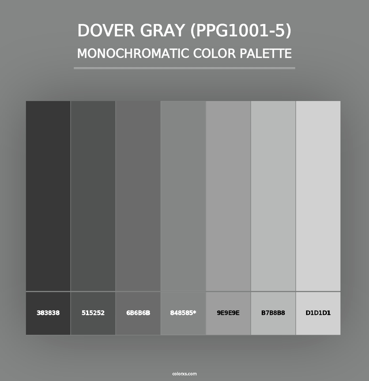 Dover Gray (PPG1001-5) - Monochromatic Color Palette