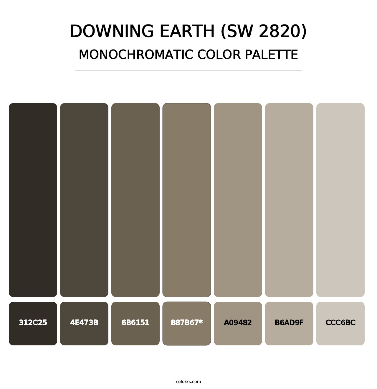 Downing Earth (SW 2820) - Monochromatic Color Palette