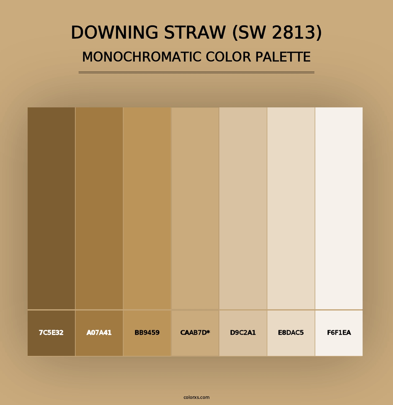 Downing Straw (SW 2813) - Monochromatic Color Palette