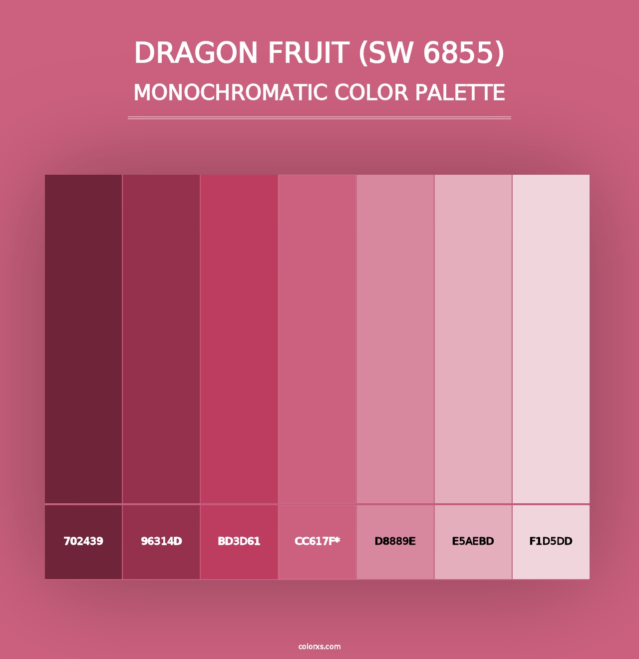 Dragon Fruit (SW 6855) - Monochromatic Color Palette