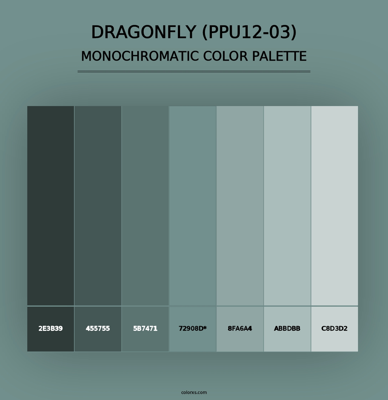 Dragonfly (PPU12-03) - Monochromatic Color Palette