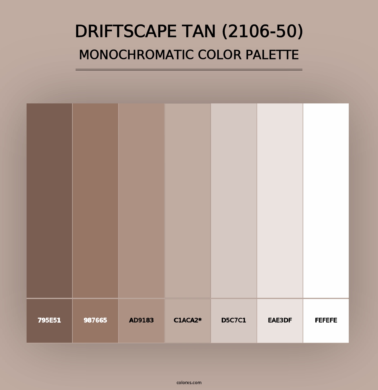 Driftscape Tan (2106-50) - Monochromatic Color Palette