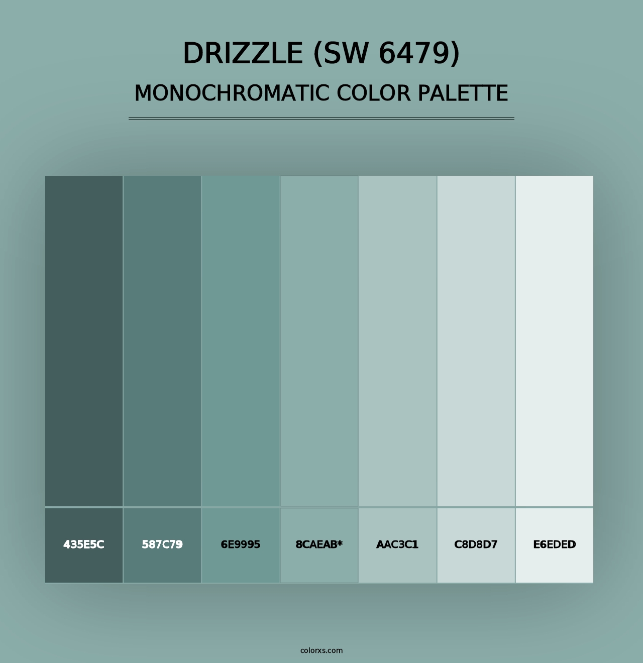 Drizzle (SW 6479) - Monochromatic Color Palette