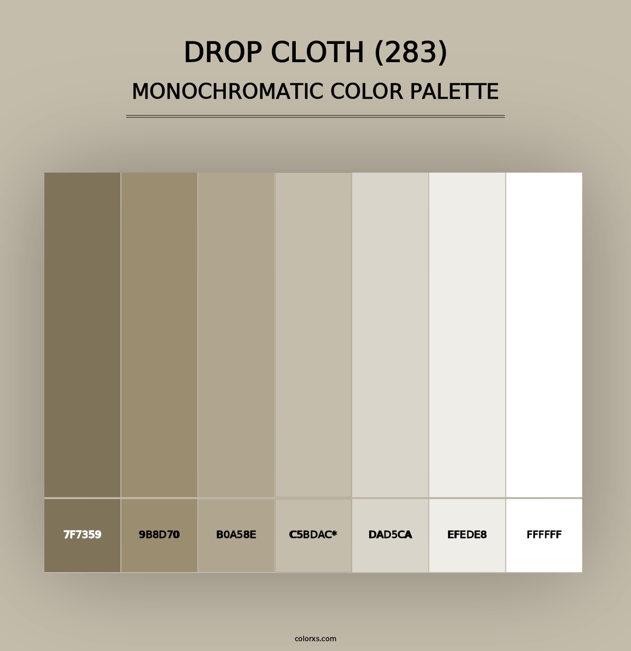 Drop Cloth (283) - Monochromatic Color Palette