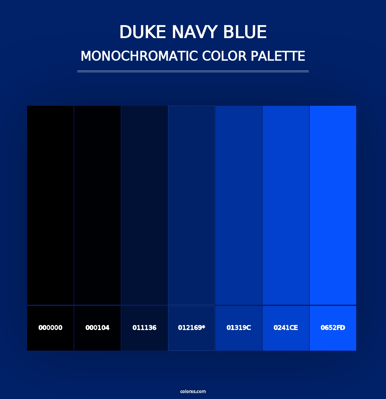 Duke Navy Blue - Monochromatic Color Palette