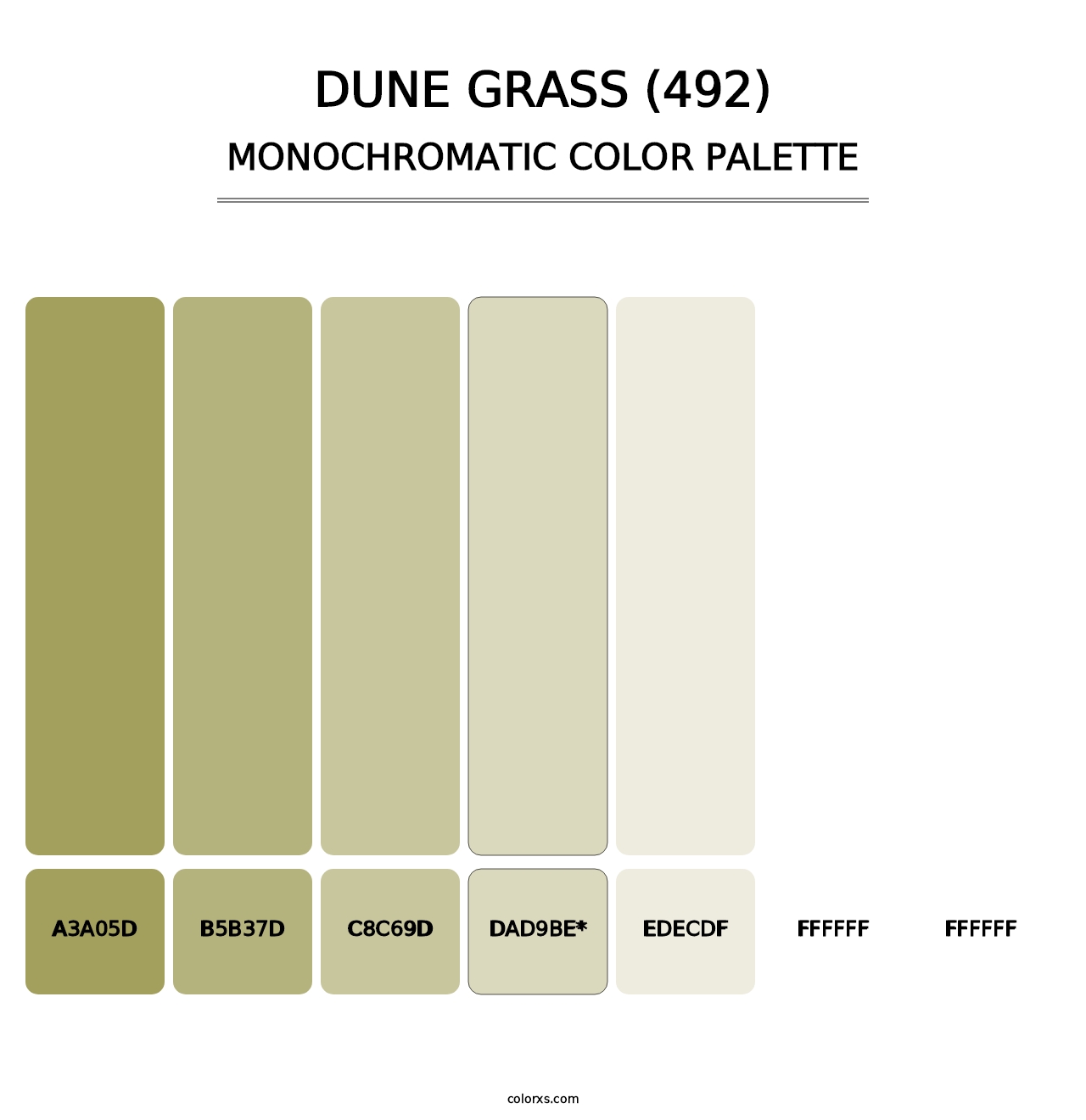 Dune Grass (492) - Monochromatic Color Palette