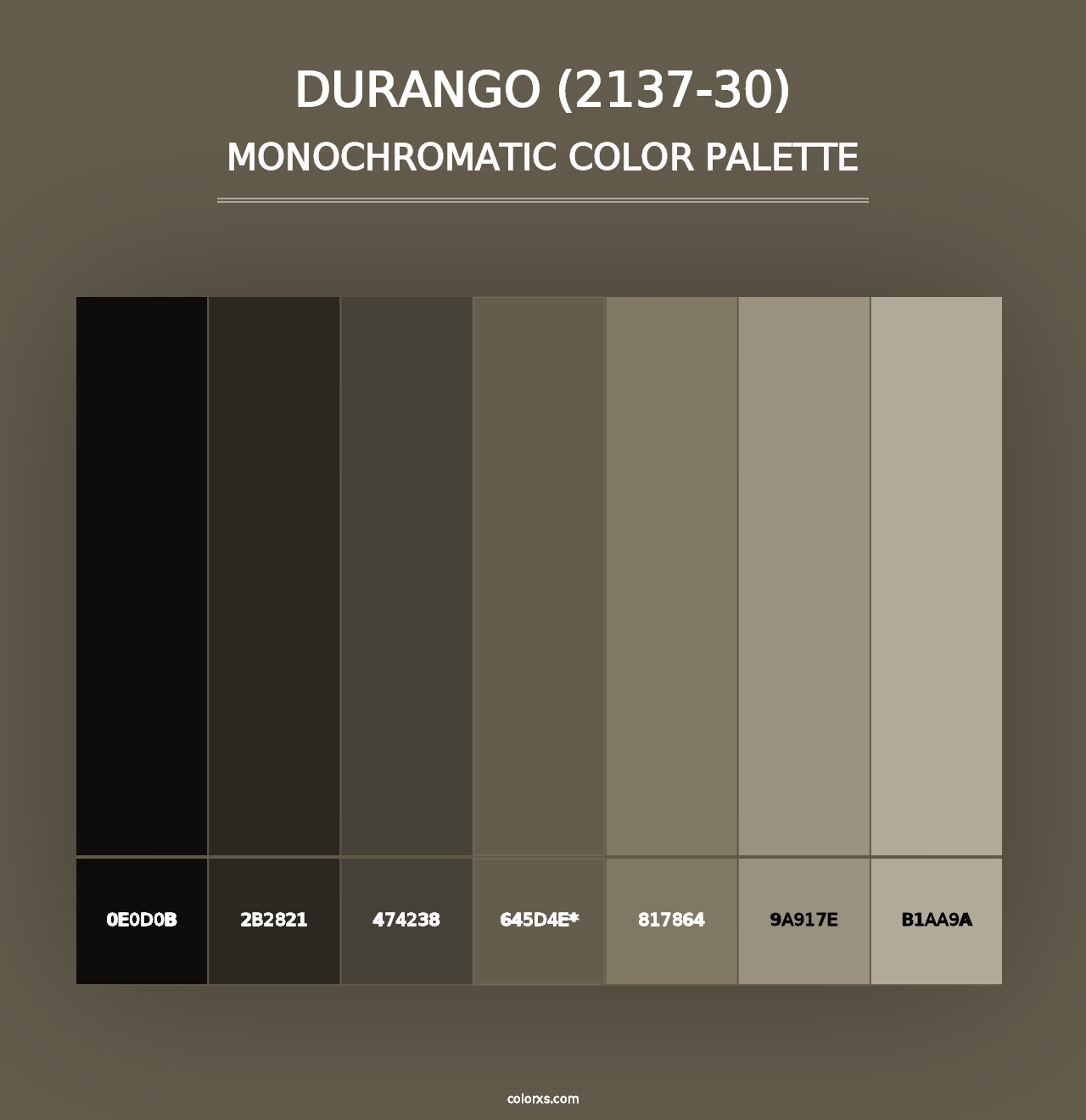 Durango (2137-30) - Monochromatic Color Palette