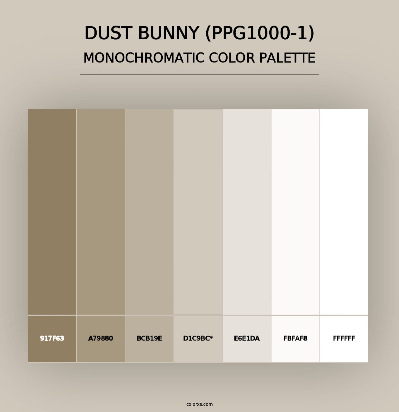 Dust Bunny (PPG1000-1) - Monochromatic Color Palette