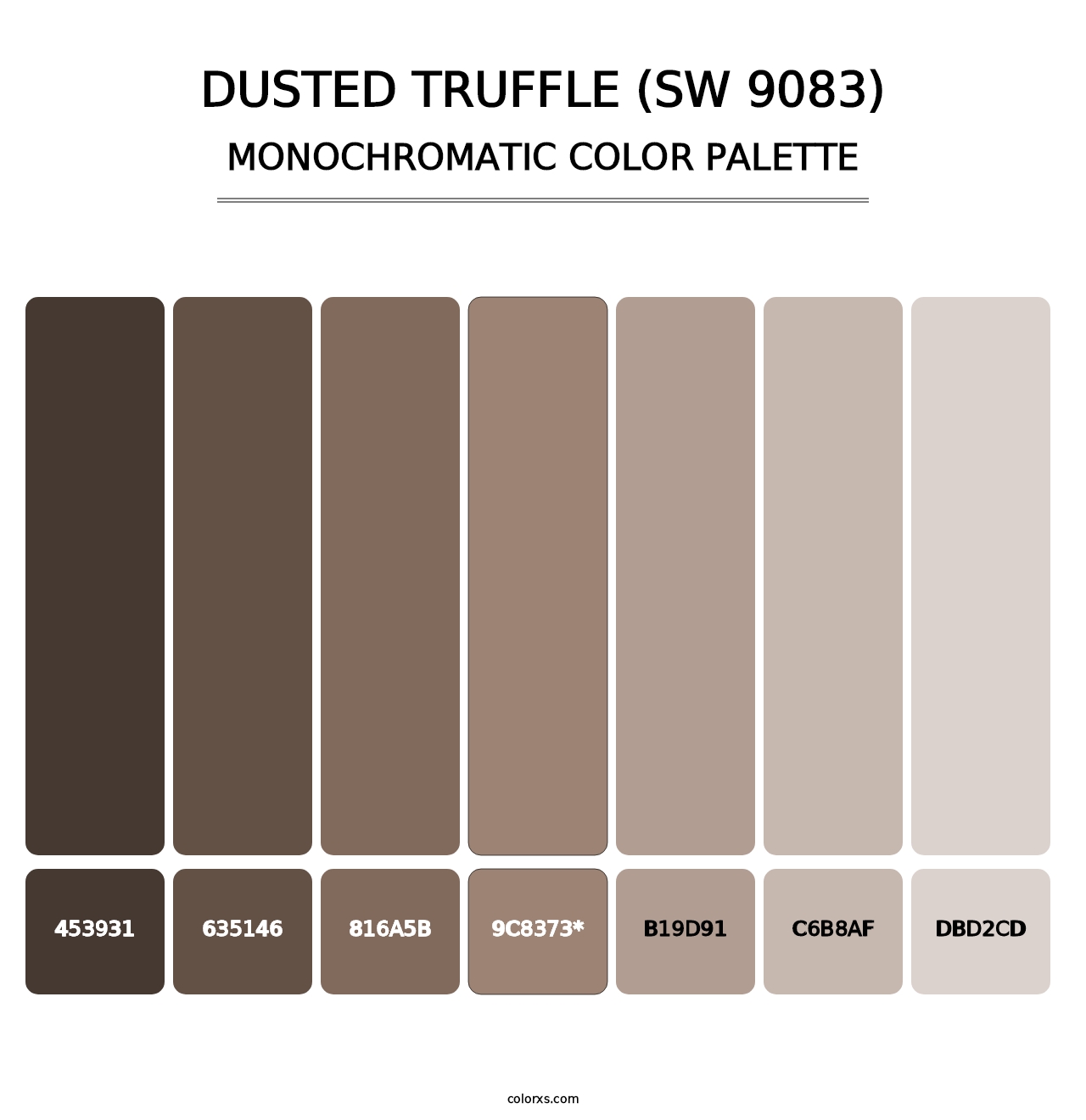 Dusted Truffle (SW 9083) - Monochromatic Color Palette