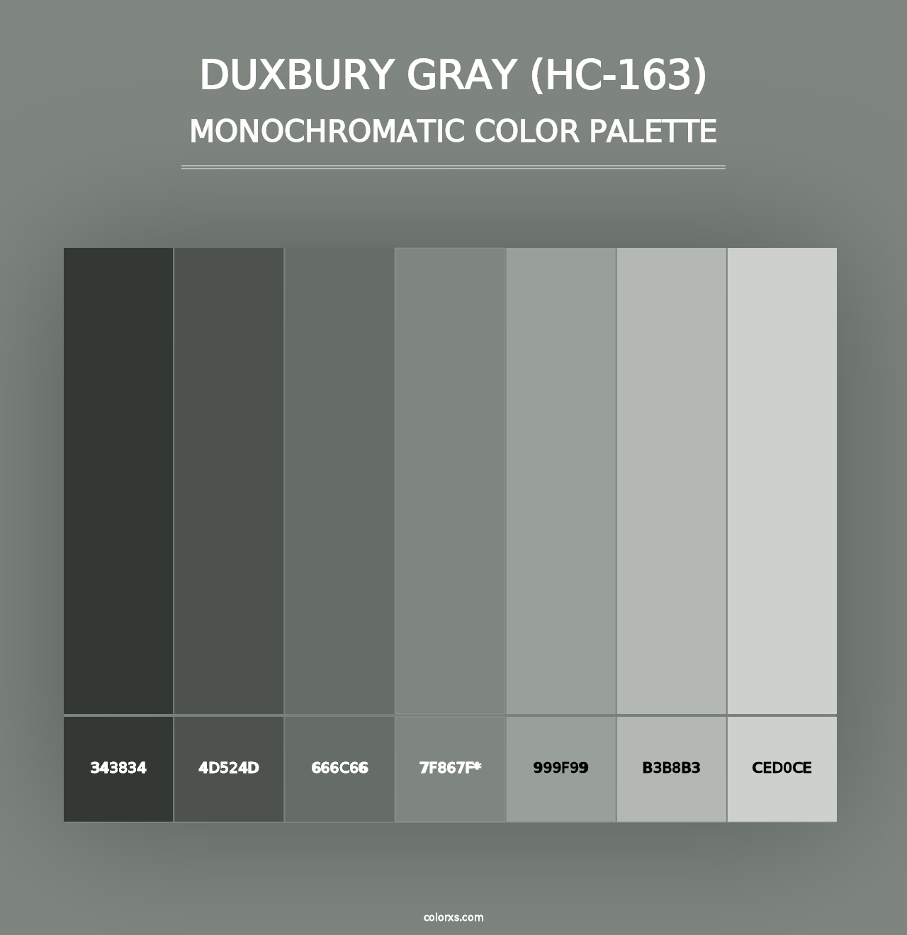 Duxbury Gray (HC-163) - Monochromatic Color Palette