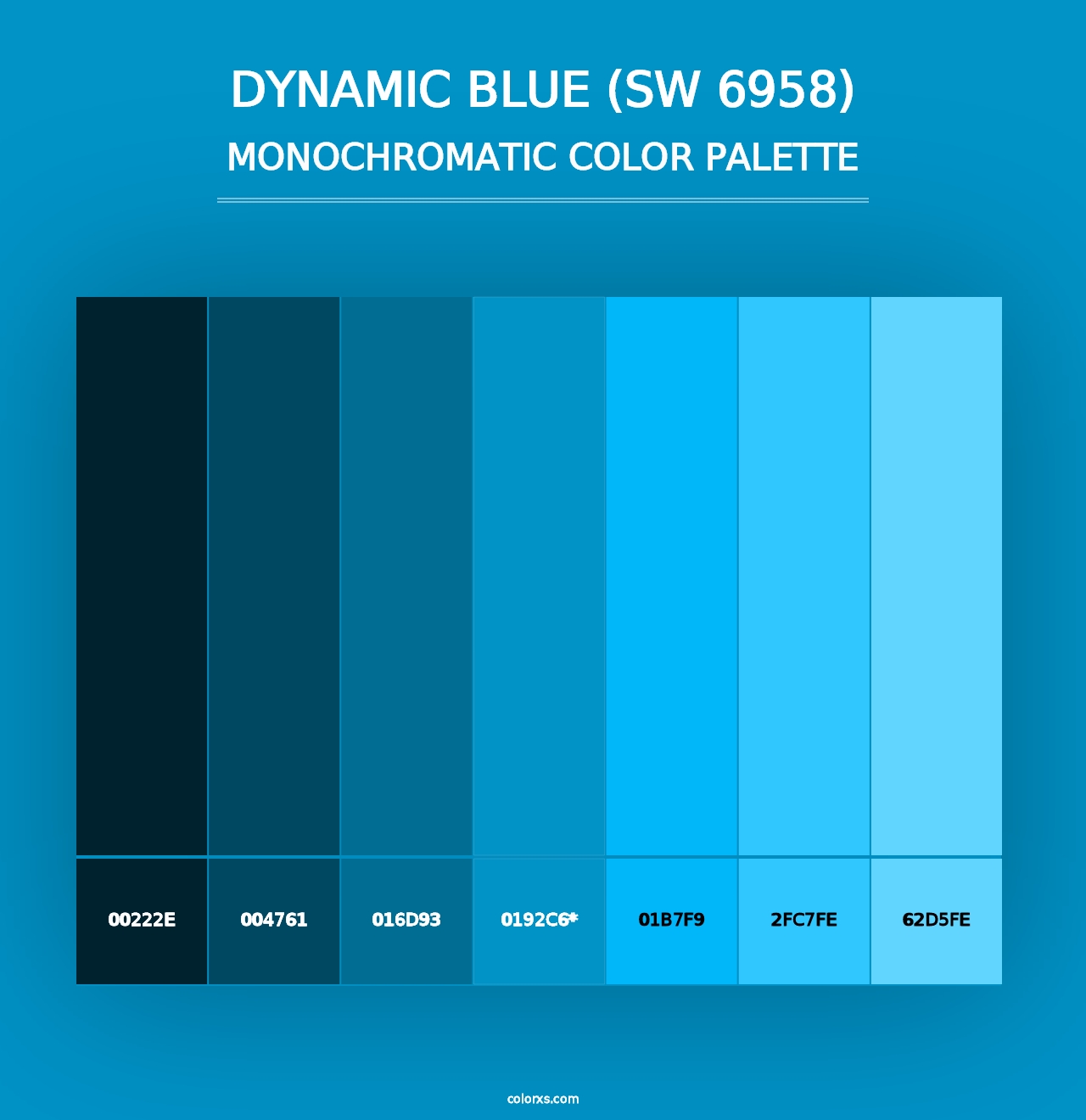 Dynamic Blue (SW 6958) - Monochromatic Color Palette