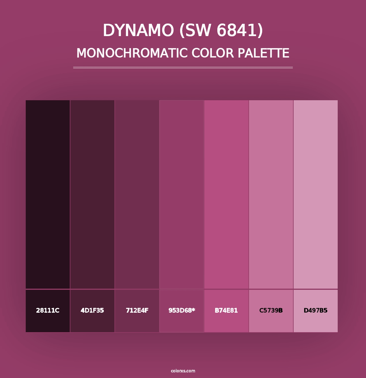 Dynamo (SW 6841) - Monochromatic Color Palette