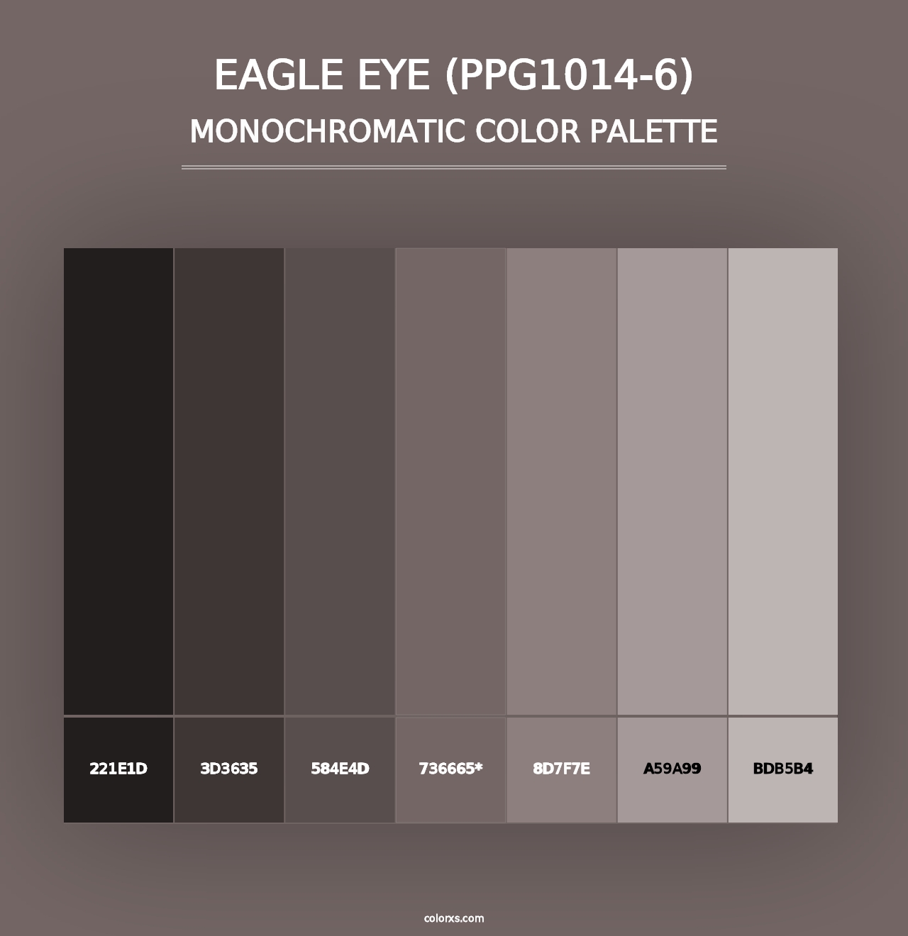 Eagle Eye (PPG1014-6) - Monochromatic Color Palette