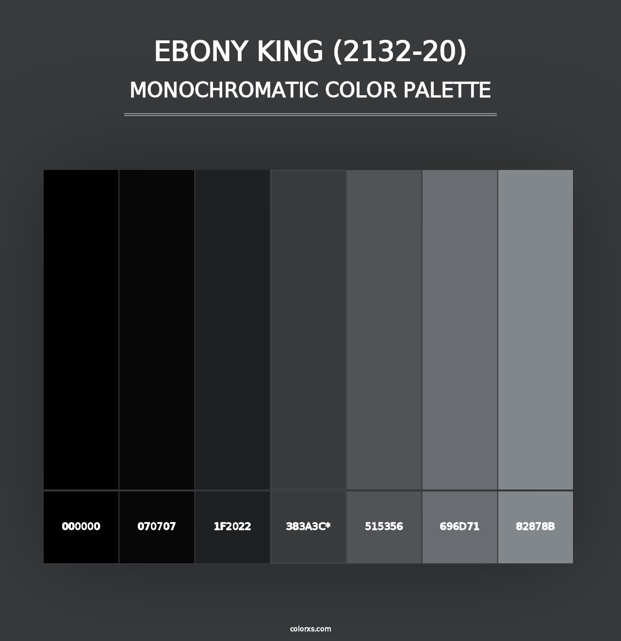 Ebony King (2132-20) - Monochromatic Color Palette