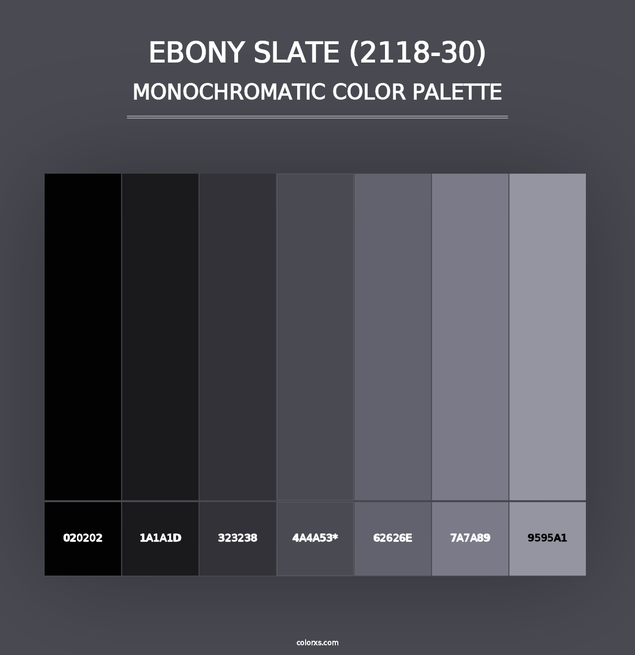 Ebony Slate (2118-30) - Monochromatic Color Palette