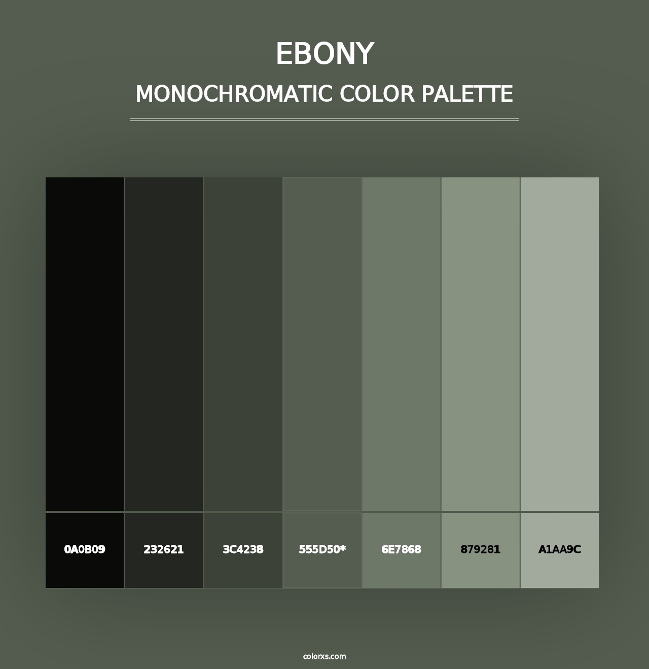 Ebony - Monochromatic Color Palette