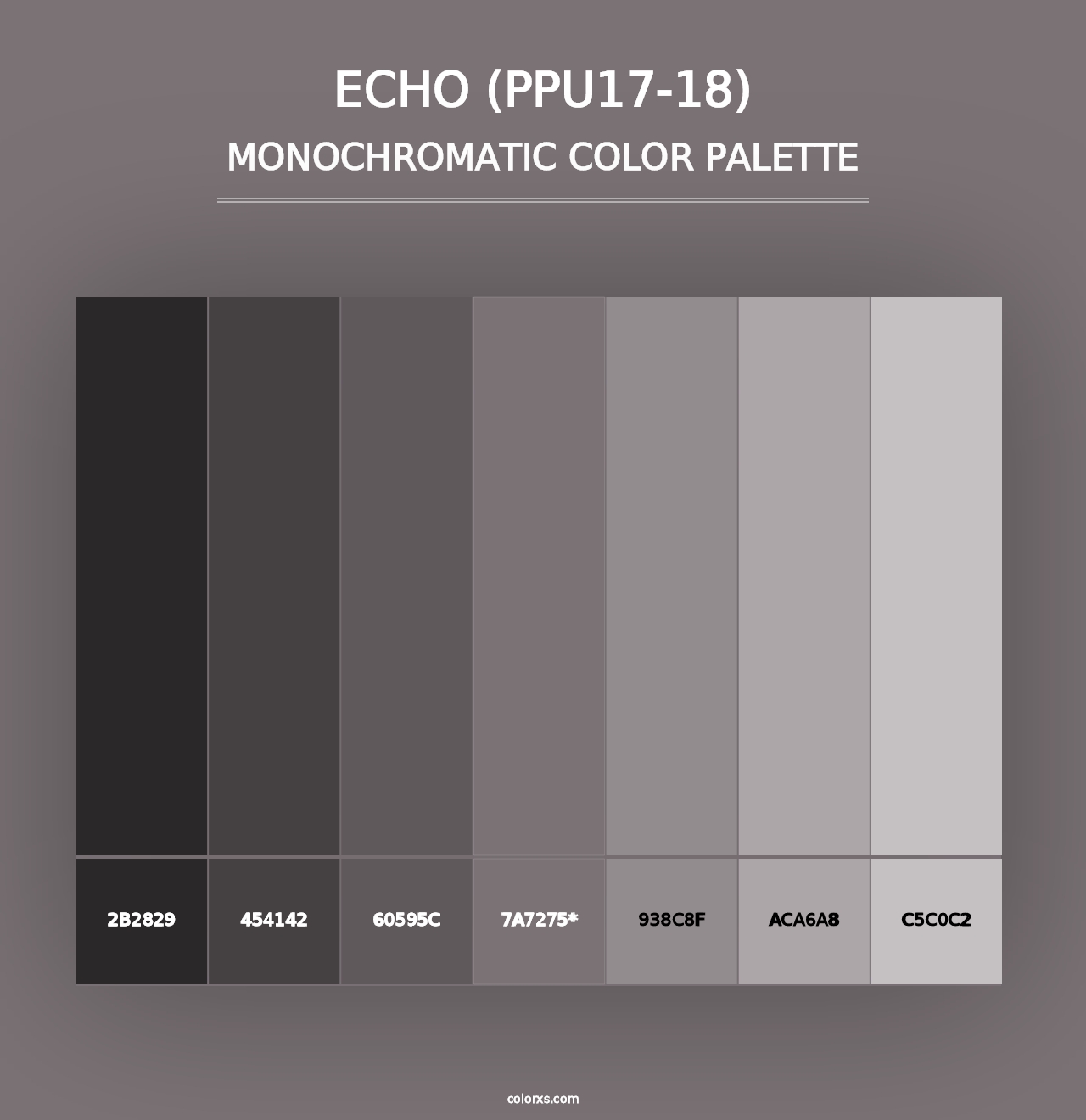 Echo (PPU17-18) - Monochromatic Color Palette