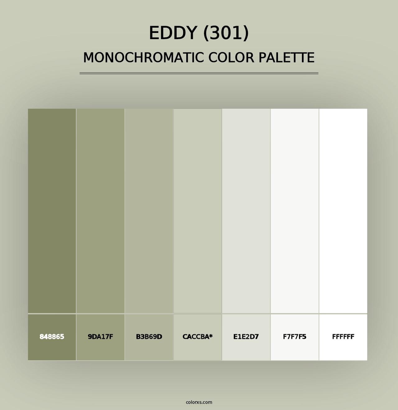 Eddy (301) - Monochromatic Color Palette