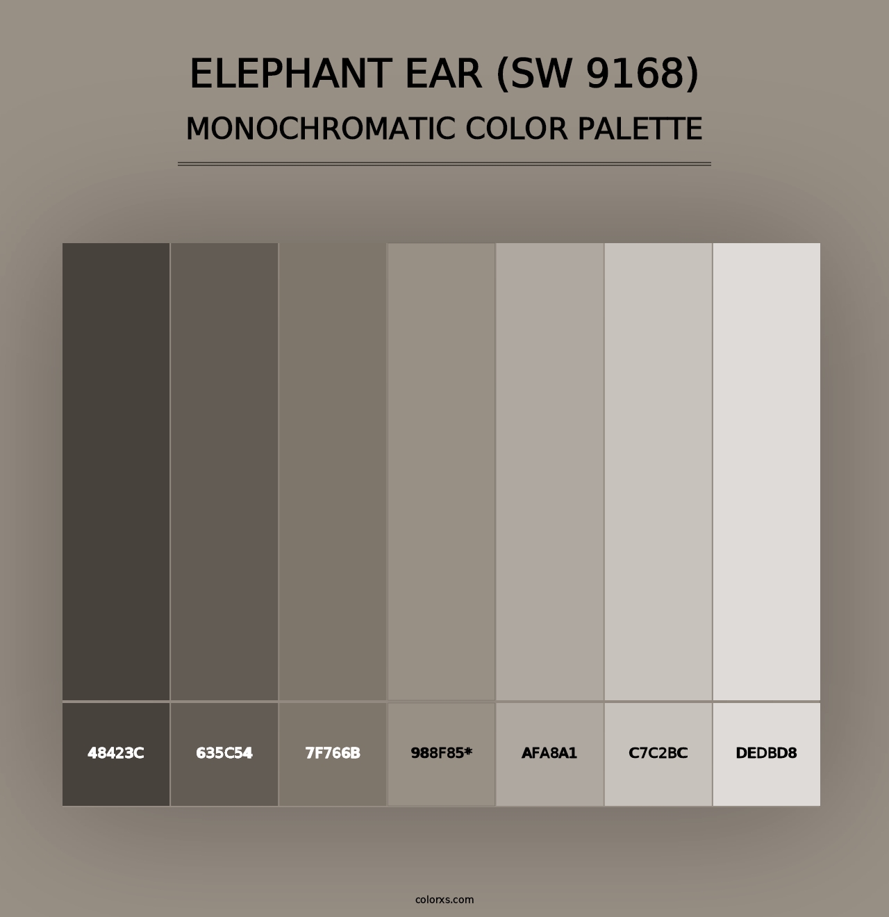 Elephant Ear (SW 9168) - Monochromatic Color Palette