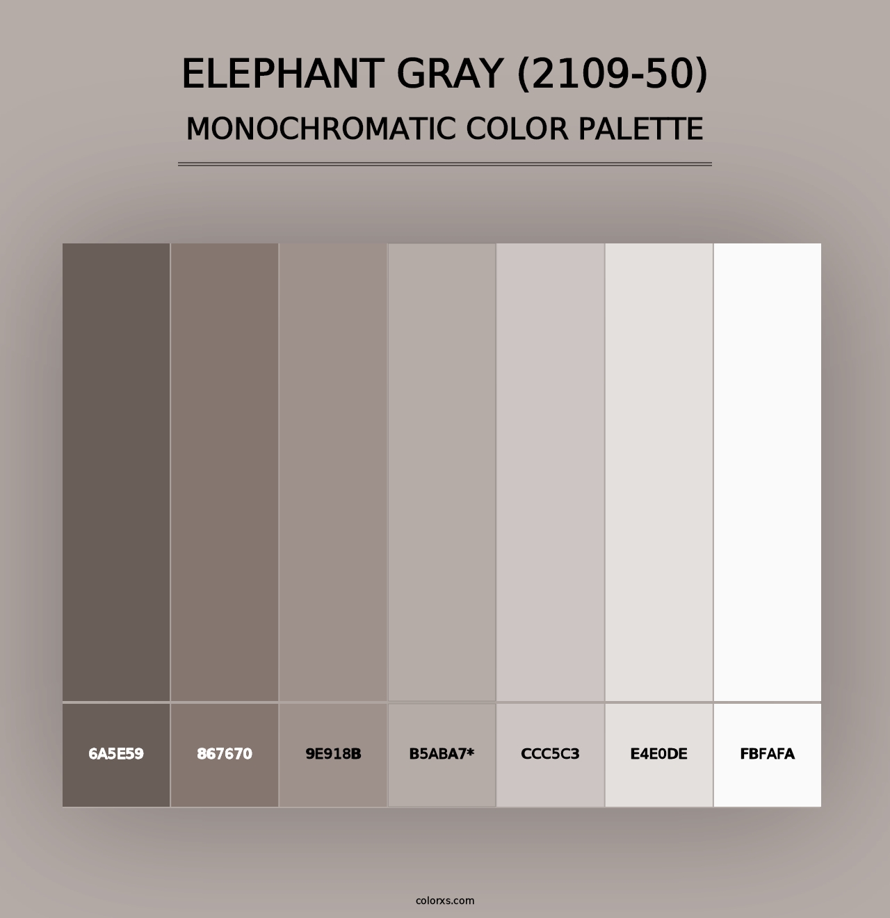 Elephant Gray (2109-50) - Monochromatic Color Palette