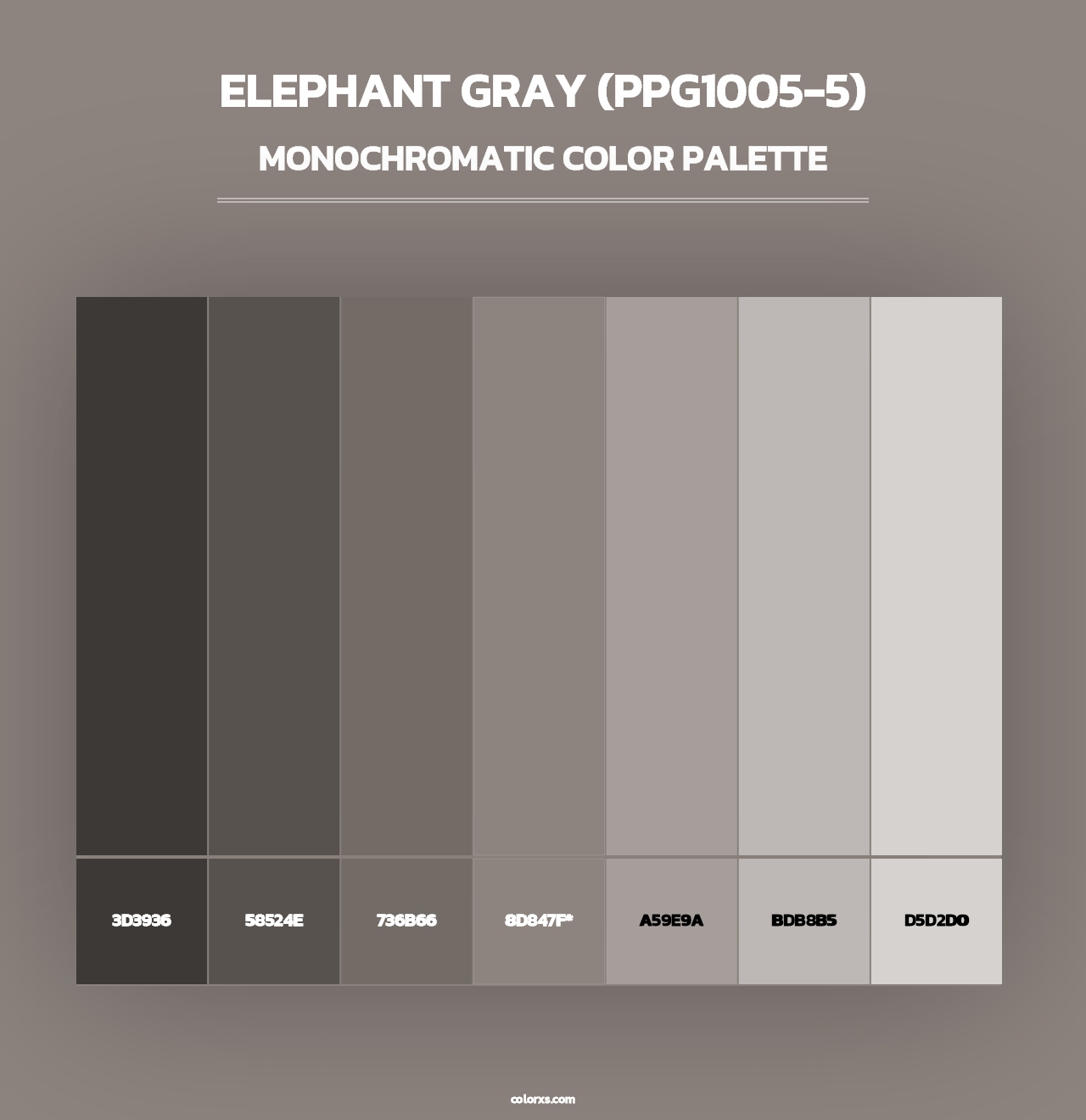 Elephant Gray (PPG1005-5) - Monochromatic Color Palette