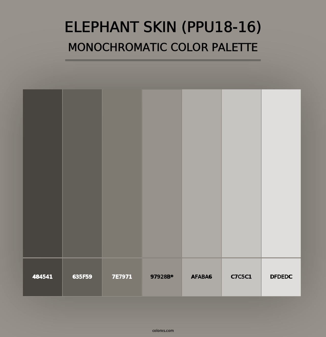 Elephant Skin (PPU18-16) - Monochromatic Color Palette