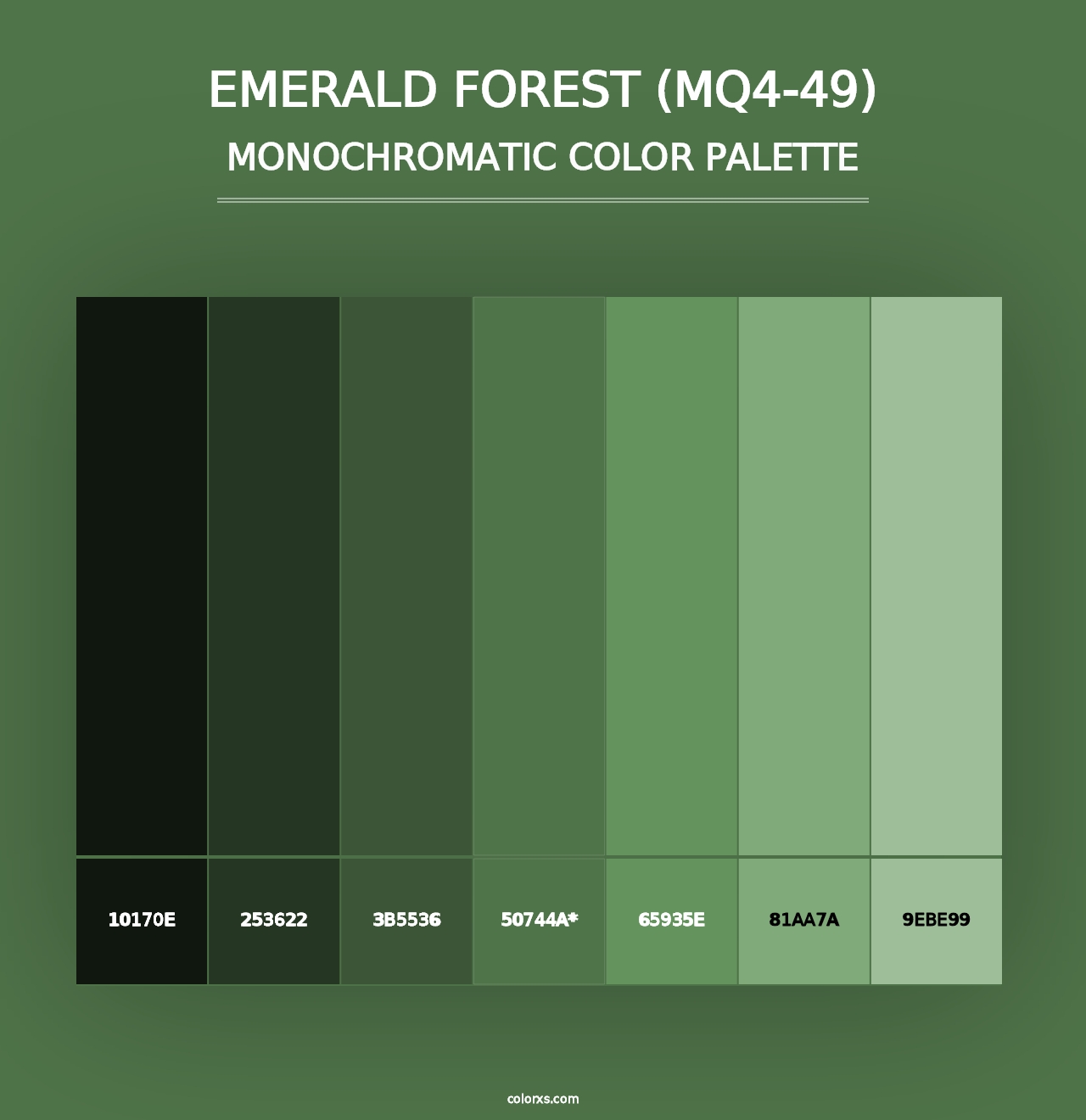 Emerald Forest (MQ4-49) - Monochromatic Color Palette