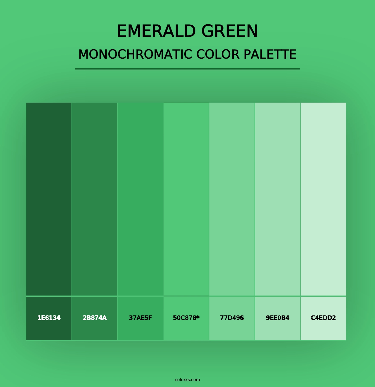 Emerald Green - Monochromatic Color Palette