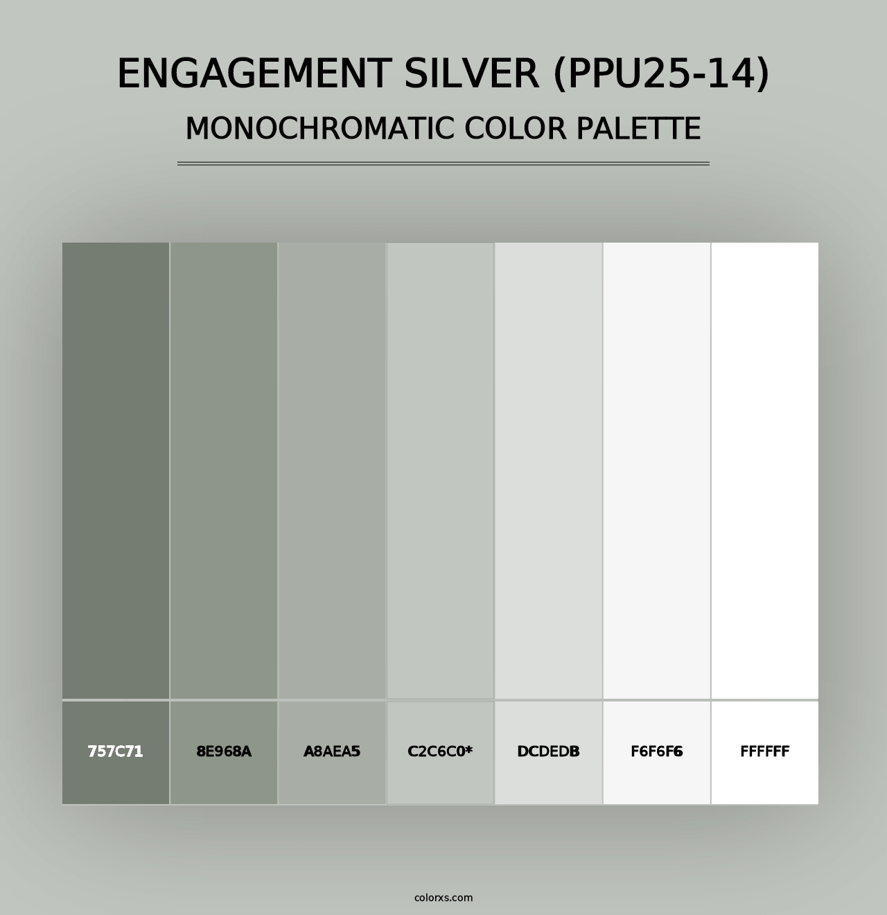 Engagement Silver (PPU25-14) - Monochromatic Color Palette