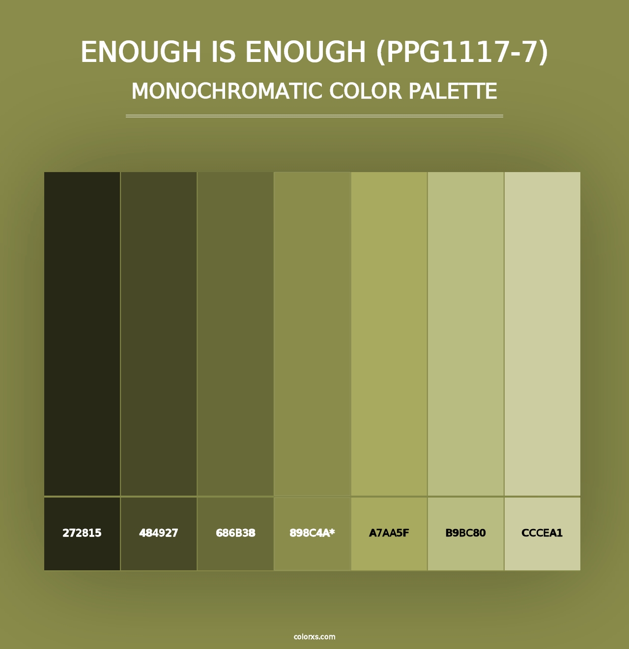 Enough Is Enough (PPG1117-7) - Monochromatic Color Palette