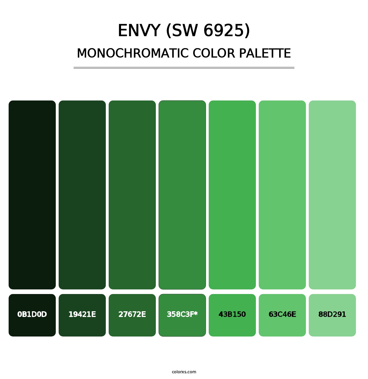 Envy (SW 6925) - Monochromatic Color Palette