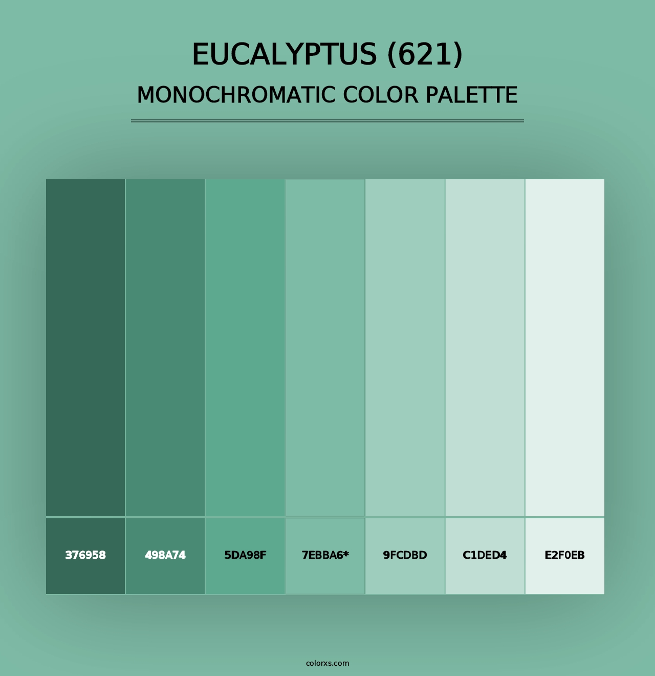 Eucalyptus (621) - Monochromatic Color Palette