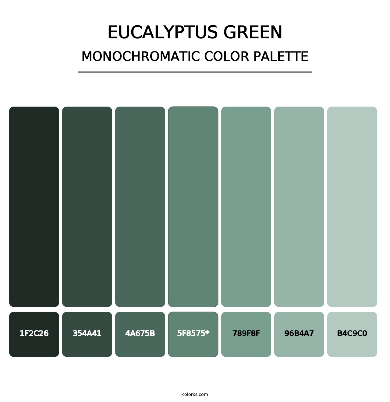 Eucalyptus Green - Monochromatic Color Palette