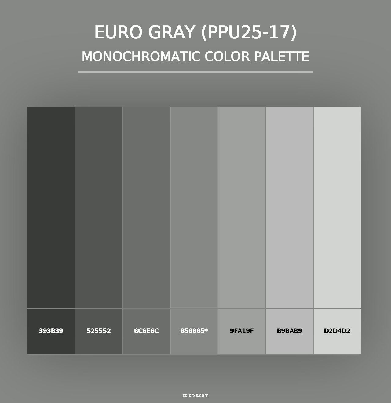 Euro Gray (PPU25-17) - Monochromatic Color Palette